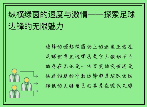 纵横绿茵的速度与激情——探索足球边锋的无限魅力
