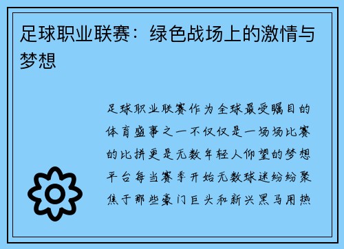 足球职业联赛：绿色战场上的激情与梦想