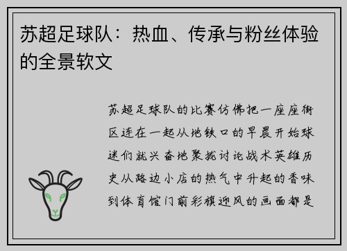 苏超足球队：热血、传承与粉丝体验的全景软文